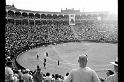 Corrida madrid